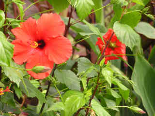 5-