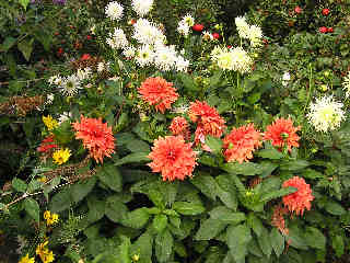 1-