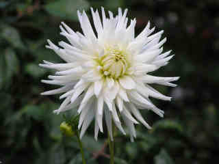 3-