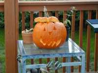 Scotts pumpkin carving