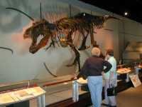 T-Rex and admirers