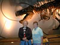Dinosaur