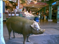Pike Market pig
