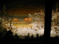 Dinosaurs in a railway tunnel!!