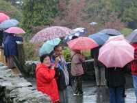 Peter and Melinda with Vancouver tourists