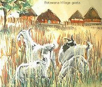 Local painting
