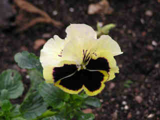 8-