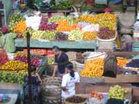 Fruit market