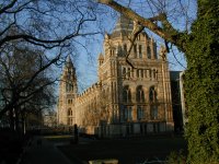 Natural History Museum, London