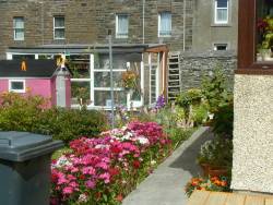 Moray Street garden