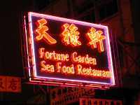 Food, glorious food!
