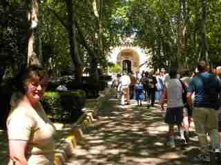 3-Rona in the shade