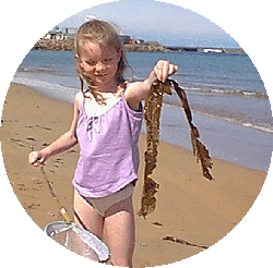 Julie at Frazerburgh beach