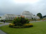 The Kew Palm House