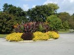 Garden display