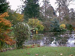 Ponds at Clan Donald gardens