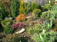Front left garden