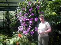 Rona and Orchids