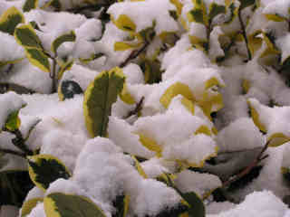 2-