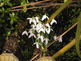1-